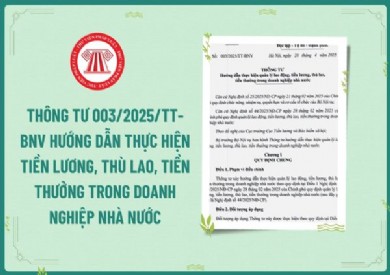 Thông tư số 003/2025/TT - BNV ngày 28/04/2025 hướng dẫn thực hiện quản lý lao động, tiền lương, thù lao, tiền thưởng trong doanh nghiệp Nhà nước