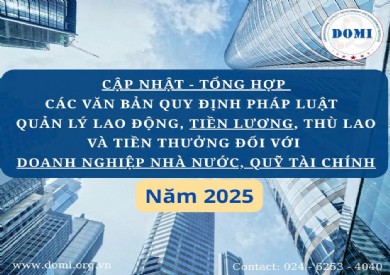 CẬP NHẬT - TỔNG HỢP CÁC VĂN BẢN PHÁP LUẬT QUY ĐỊNH VỀ QUẢN LÝ LAO ĐỘNG, TIỀN LƯƠNG, THÙ LAO VÀ TIỀN THƯỞNG ĐỐI VỚI DOANH NGHIỆP NHÀ NƯỚC, QUỸ TÀI CHÍNH, TỔ CHỨC TÀI CHÍNH